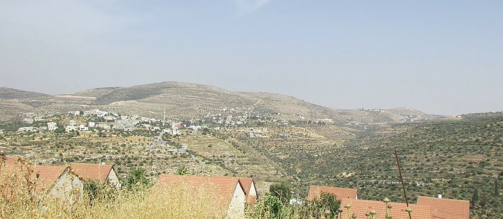 Hillside terrain near Jalud and Talfit in the West Bank. Photo: Wikimedia Commons, CC BY-SA.
