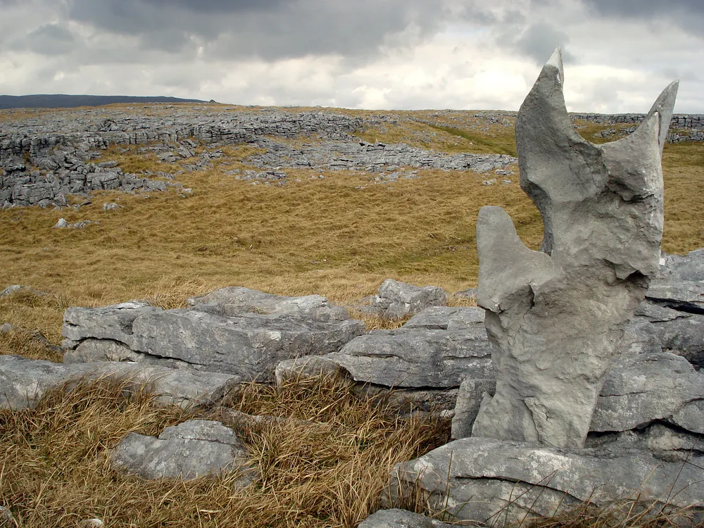 Limestone pavement in the Yorkshire Dales. Photo: Peer Lawther / Wikimedia Commons, CC BY 2.0.