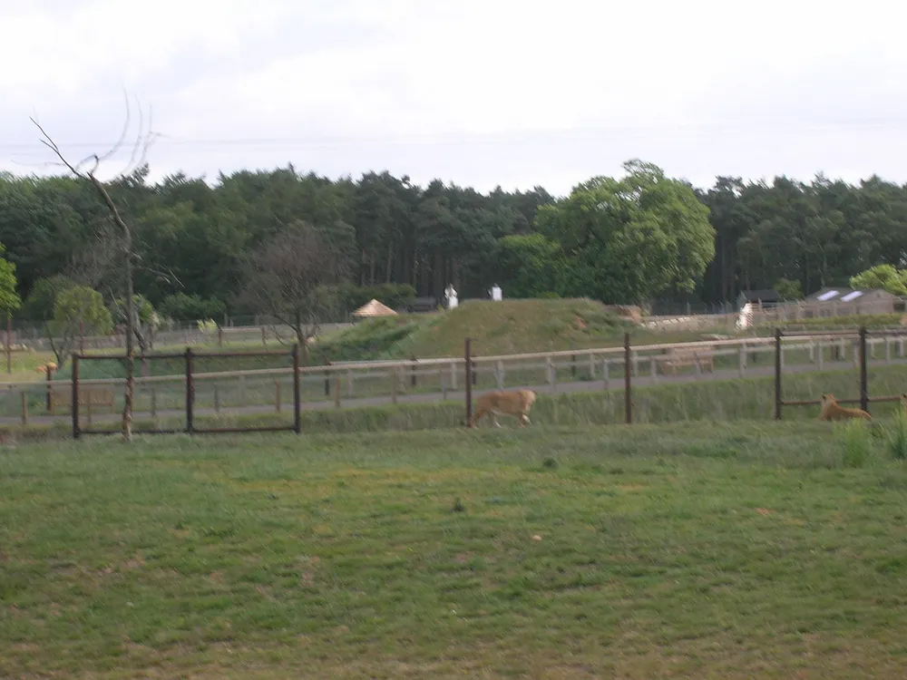 An animal enclosure at Yorkshire Wildlife Park near Doncaster. Photo: JThomas / Wikimedia Commons, CC BY-SA 2.0.