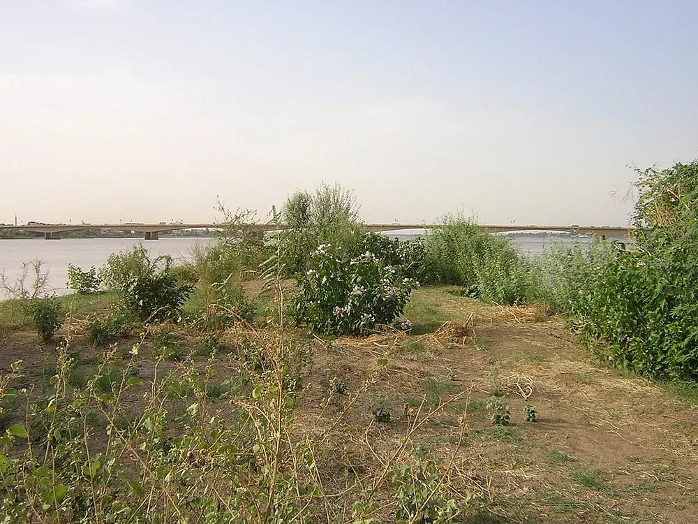 The confluence of the Nile at Khartoum. Photo: Petr Adam Dohnálek / Wikimedia Commons, CC BY-SA 3.0.